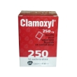 Clamoxyl 250 - 1