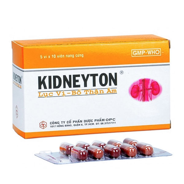 Lục vị Kidneyton - 2