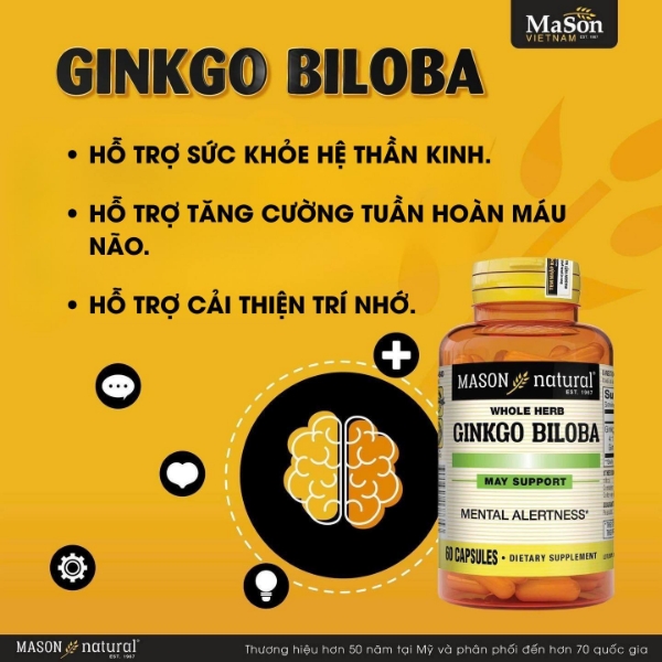 Ảnh của [HÀNG NHẬP KHẨU] Mason Natural Ginkgo Biloba hỗ trợ tuần hoàn não trí nhớ (100 viên)